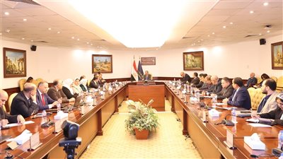 الأعلى للأمن السيبرانى يناقش خطط وإجراءات مواجهة الأخطار والأعطال التقنية