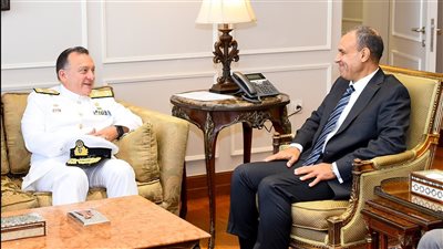 وزير الخارجية: تأثير مباشر للتهديدات الأمنية للملاحة في البحر الأحمر على الاقتصاد المصري (صور)