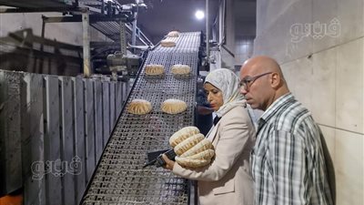 تحرير 31 محضرا خلال حملات تموينية بقلين ودسوق في كفر الشيخ