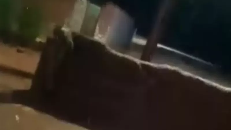 أمطار باريس، ڤيتو