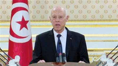  الرئيس التونسي يدعو إلى حماية أملاك الدولة من لوبي الفساد