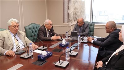 الكهرباء: جهود كبيرة لمواجهة التعديات والسرقات بتغليظ العقوبات 