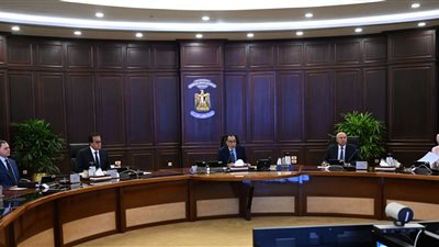 مدبولي: تكثيف جهود الدولة للتغلب على تحديات سوقي الدواء والأسمدة 