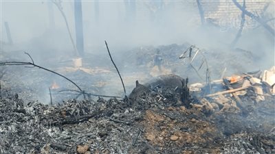 السيطرة على حريق بحظيرتي ماشية بقرية جزيرة ببا فى بني سويف 