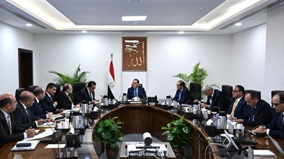 رئيس الوزراء: توفير 7 مليارات جنيه للأدوية والمستلزمات الطبية المطلوبة 