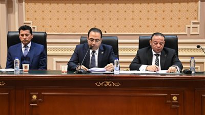 شباب النواب تناقش خطة الاتحادات الرياضية لتحسين نتائج المشاركات بالأولمبياد المقبلة