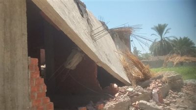 إزالة 20 حالة تعدي على أراض زراعية بـ3 مراكز في أسيوط