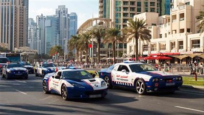 ليلة سقوط عصابة بهلول، تفاصيل القبض على 100 عنصر إجرامي بواسطة الأمن الإماراتي