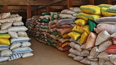 صوامع الشرقية تستقبل 619 ألفا و714 طن قمح منذ بدء التوريد 