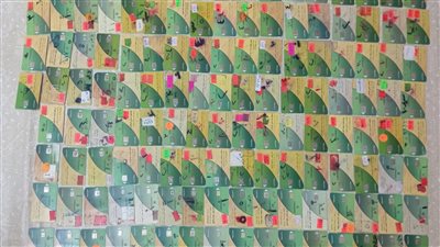 تموين الإسكندرية يضبط بقالا بحوزته 132 بطاقة تموينية 