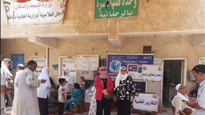 الكشف على 1482 مريضا ضمن فعاليات قافلة طبية بالدقهلية