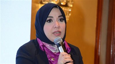 عضو بالشيوخ: المجلس أولى اهتماما بالقوانين التي تحفظ كرامة الإنسان ذات الصلة بحقوقه