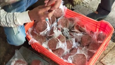 ضبط 14 طن مصنعات لحوم ودواجن فاسدة في الجيزة (صور)