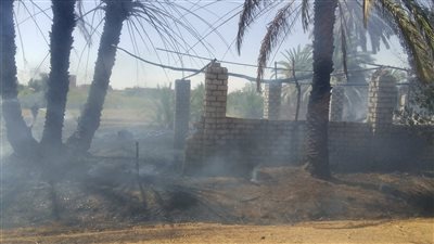اندلاع حريق في مزرعة نخيل وحظائر ماشية بالوادي الجديد 