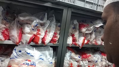 رئيس مدينة الزقازيق يتابع العمل بالوحدات المحلية