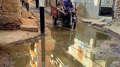 كفر سليمان، قرية تكافح الغرق في مياه الصرف بالغربية (فيديو)