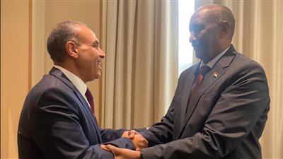  وزير الخارجية ينقل رسالة دعم للسودان من السيسي إلى البرهان