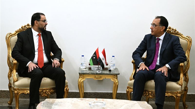 رئيس مجلس الوزراء،فيتو