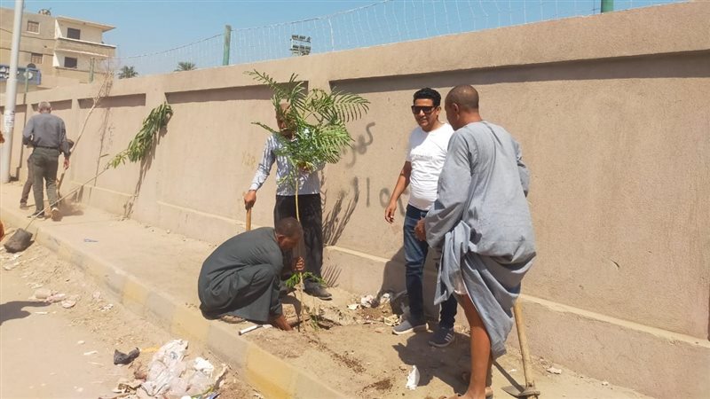 استمرار أعمال التشجير