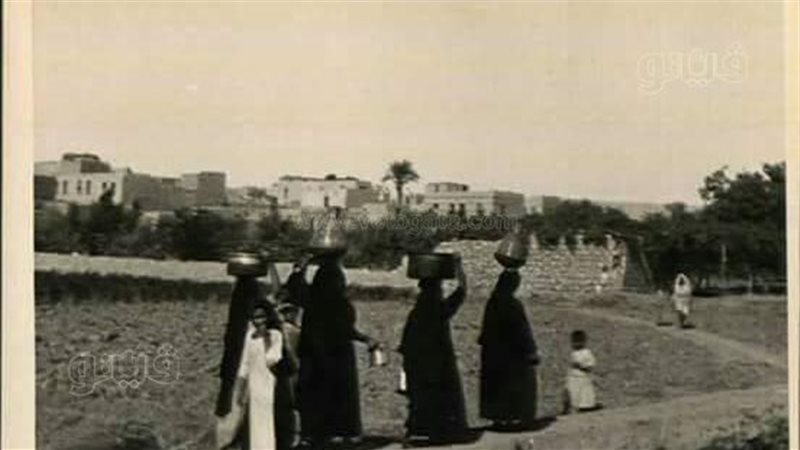 أفراح الواحات، ڤيتو