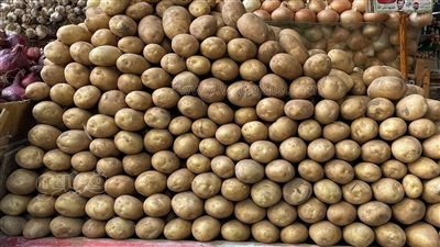 بعد وصول كيلو البطاطس 35 جنيها، شعبة الخضراوات تكشف أسباب زيادة الأسعار