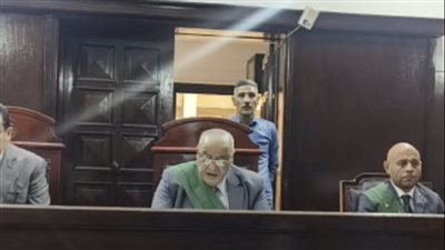 لحظة النطق بالحكم على المتهمين بإنهاء حياة سائق الستاموني في الدقهلية (فيديو وصور)