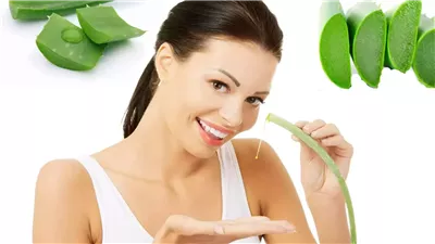 الصبار هدية طبيعية لشعرك، يرطبه ويقويه ويمنع تساقطه