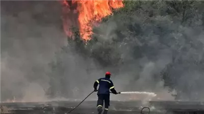 وزير الطوارئ: الإطفاء تمكنت من إيقاف امتداد النيران على محاور ريف اللاذقية الشمالي