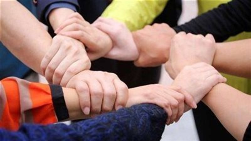 جمعيات أهلية، فيتو