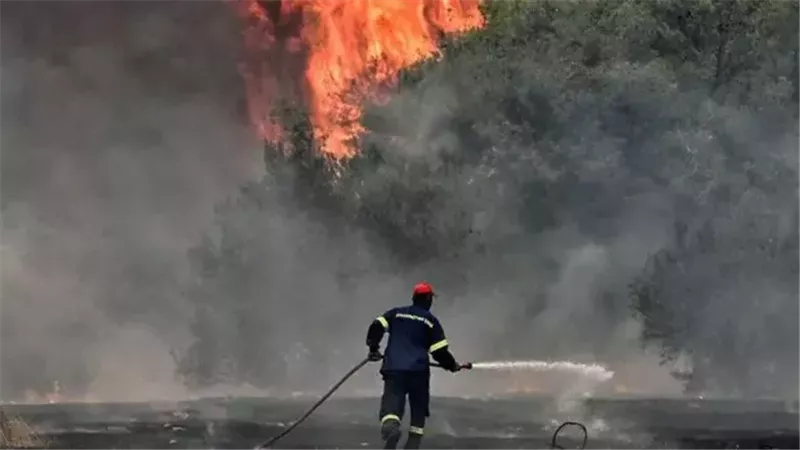 حرائق الغابات فى