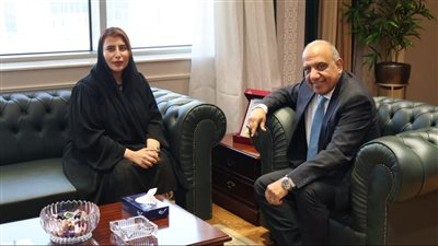 وزير الكهرباء يبحث مع سفيرة الامارات بالقاهرة تعزيز التعاون والشراكة والاستثمار