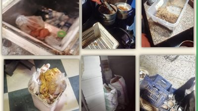 إدارة شؤون البيئة تكثف نشاطها بمراكز محافظة الشرقية