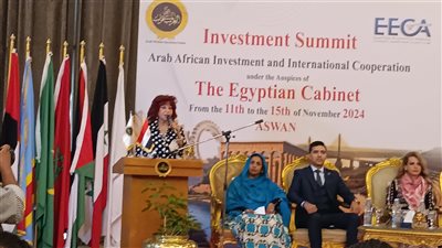 رئيس اتحاد المستثمرات العرب: دعم حكومي كبير لجذب الاستثمارات الأجنبية