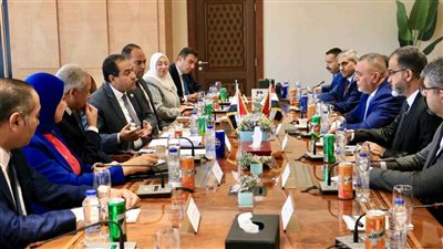 رئيس جهاز التنظيم والإدارة يبحث مع نظيره العراقي تفعيل مذكرة التفاهم المشتركة