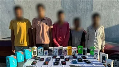 حبس 3 تشكيلات عصابية لارتكاب جرائم سرقات متنوعة