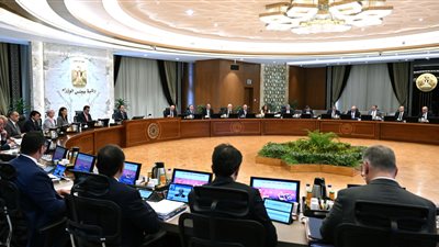 الحكومة تقرر إصدار تأشيرة الترانزيت مجانا للمسافرين لمدة 96 ساعة