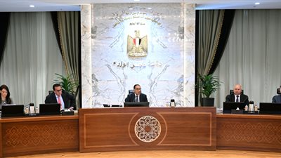 الحكومة توافق على مشروع قرار بشأن إصدار لائحة قانون تشغيل وتطوير المنشآت الصحية 