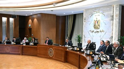 الحكومة تقر تعديلات جديدة على قوانين تسجيل السفن التجارية 