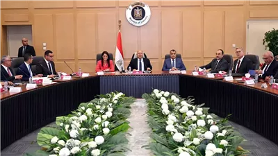 شعبة صناعة السيراميك تطالب بتيسيرات في سداد مديونيات الطاقة على المصانع