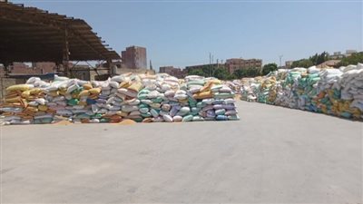 ارتفاع كمية الأقماح الموردة لصوامع الشرقية إلى 620 ألف طن 