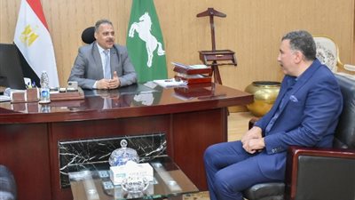 محافظ الشرقية: دعم شبكة الكهرباء بمحولات جديدة ولوحات توزيع لتساهم في تخفيف الأحمال