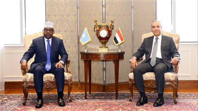 وزير الخارجية يؤكد موقف مصر الداعم لوحدة وسيادة الصومال على أراضيه