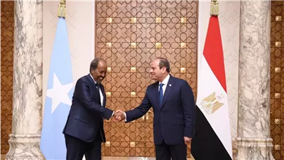 5 إجراءات لتعميق التعاون الثنائي بين مصر والصومال (إنفوجراف)