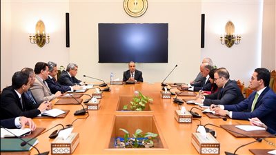 وزير الخارجية: تنسيق مع الدول الشقيقة بشأن الأزمات التي تواجه المنطقة