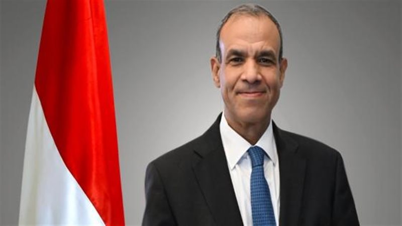 بدر عبدالعاطي وزير