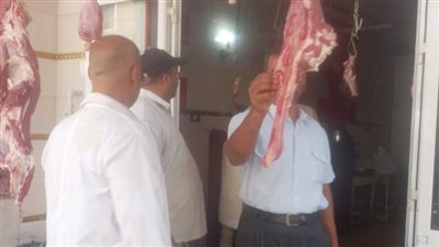 حملة مكبرة لرفع تراكمات القمامة بمركز الإبراهيمية في الشرقية