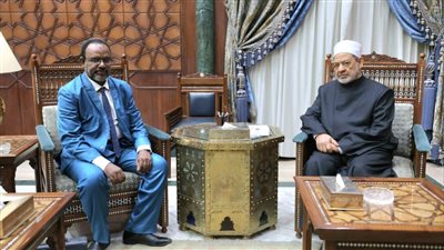 شيخ الأزهر: نحرص على نشر اللغة العربية وتقديم الدعم الكامل للدول الأفريقية لمواجهة الغزو الثقافي الغربي