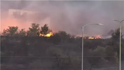 جحيم لوس أنجلوس، البرق والجفاف واحتكاك الأشجار أبرز أسباب اشتعال حرائق الغابات كل عام 