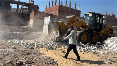 إزالة فورية لـ 11 حالة تعد بالبناء المخالف في الإسماعيلية (صور) 