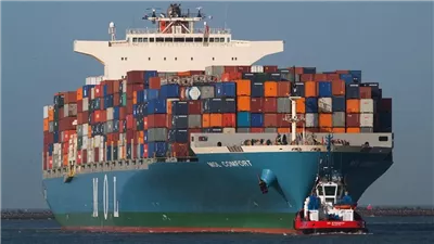 ارتفاع قيمة التبادل التجاري بين مصر والصومال لـ 59 مليون دولار (إنفوجراف)